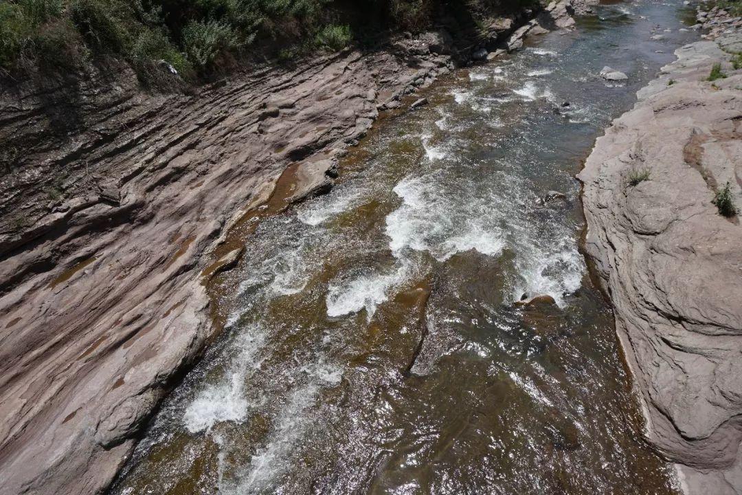 秦岭细鳞鲑是不是白条鱼,秦岭大量细鳞鲑逆流而上