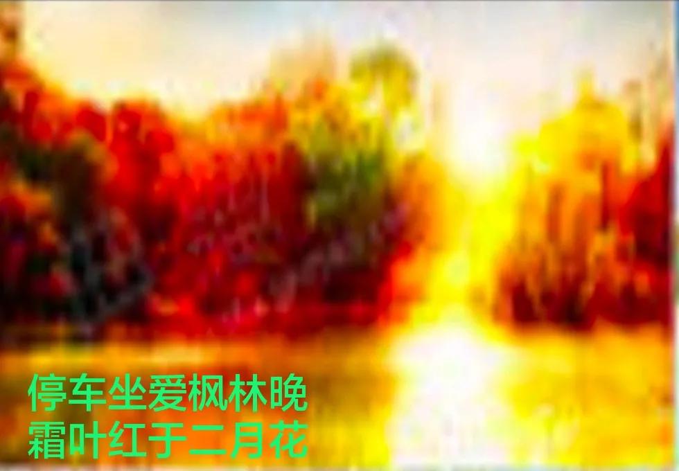 河柳拼音,河柳图