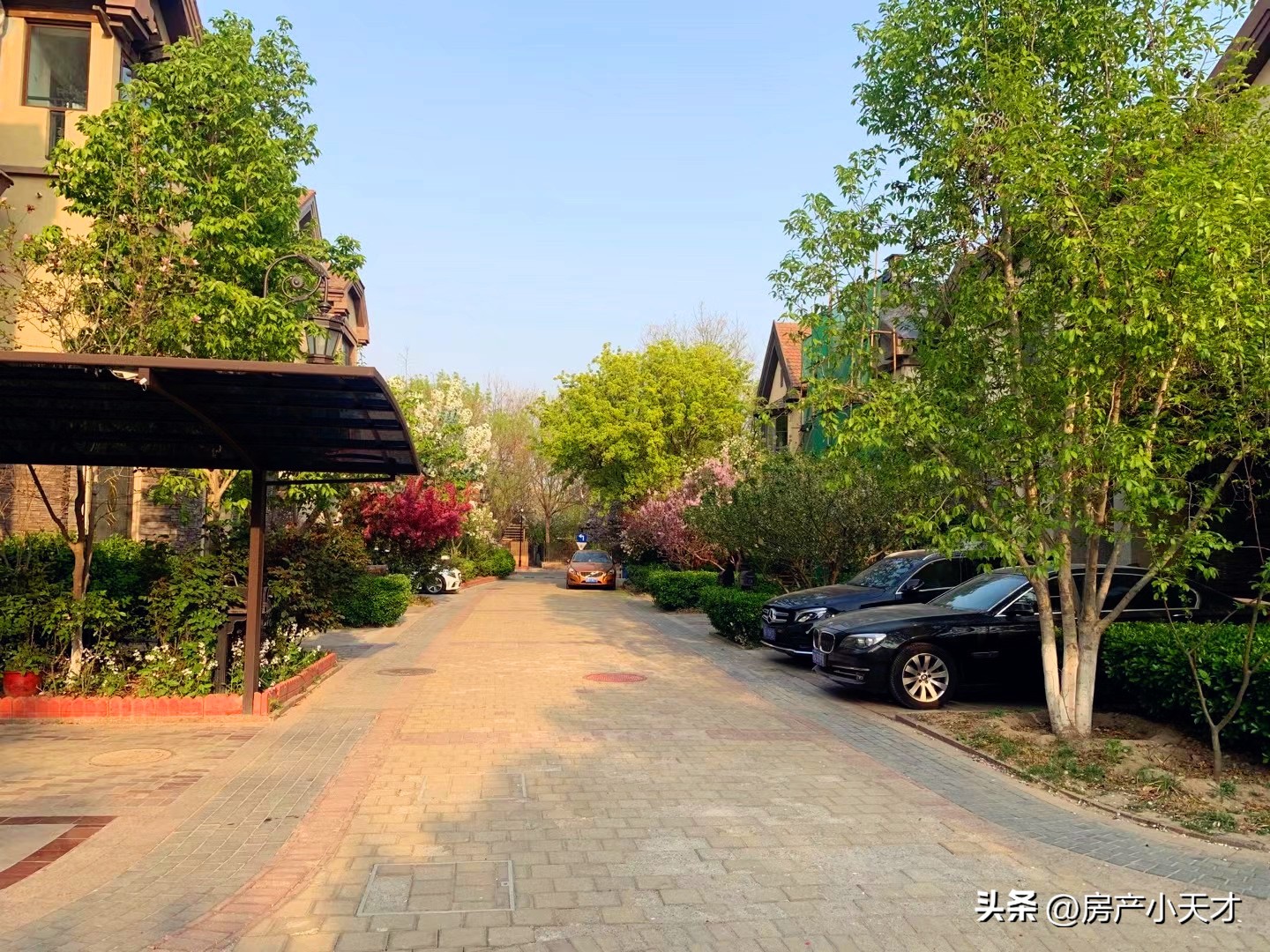 北京北苑地区的别墅,北京十大顶级富人小区