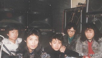 栾树王菲,咏梅栾树王菲