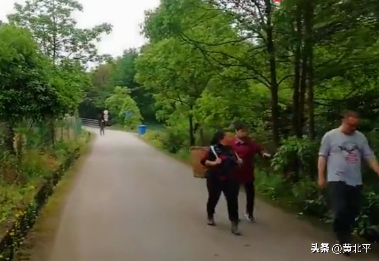 重庆世外桃源小镇,重庆巴南区的老城镇