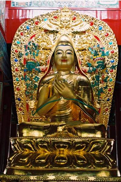 拉萨大昭寺最热闹的街 (拉萨大昭寺夜晚人山人海)