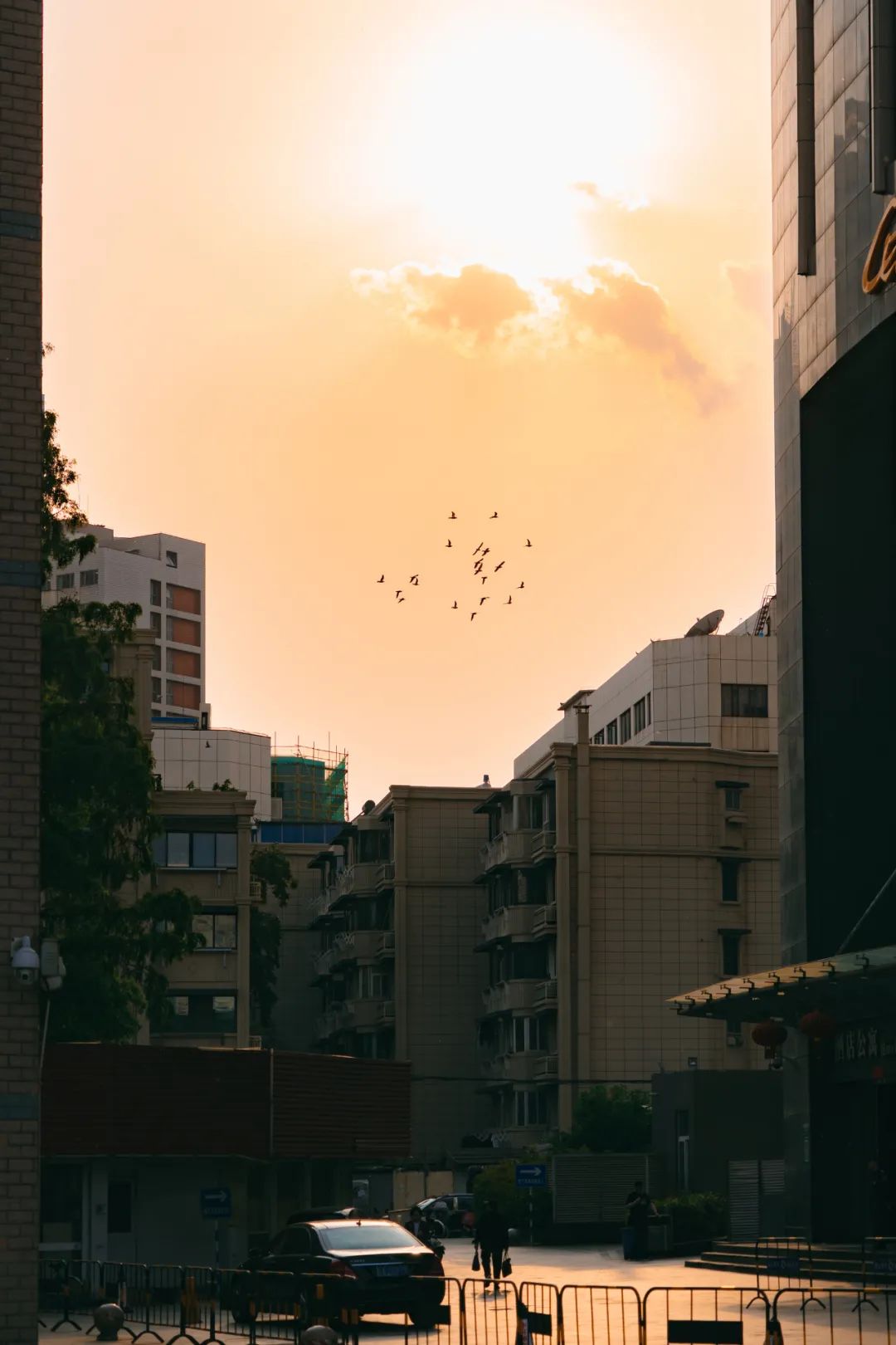 南京土著回忆全纪录