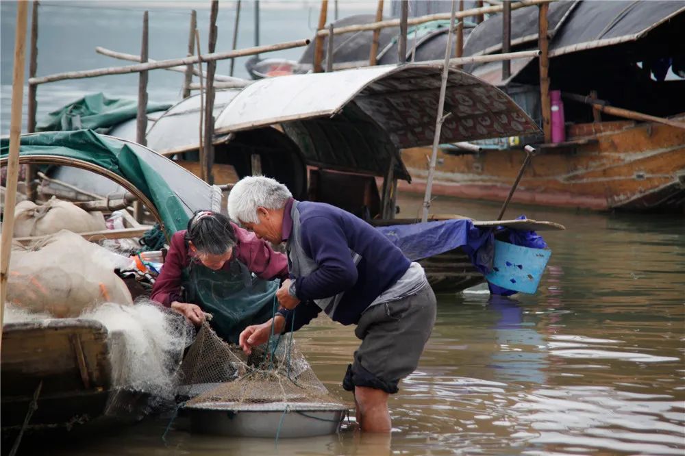 津门网郭冀华：水上古村落——大塘渔村