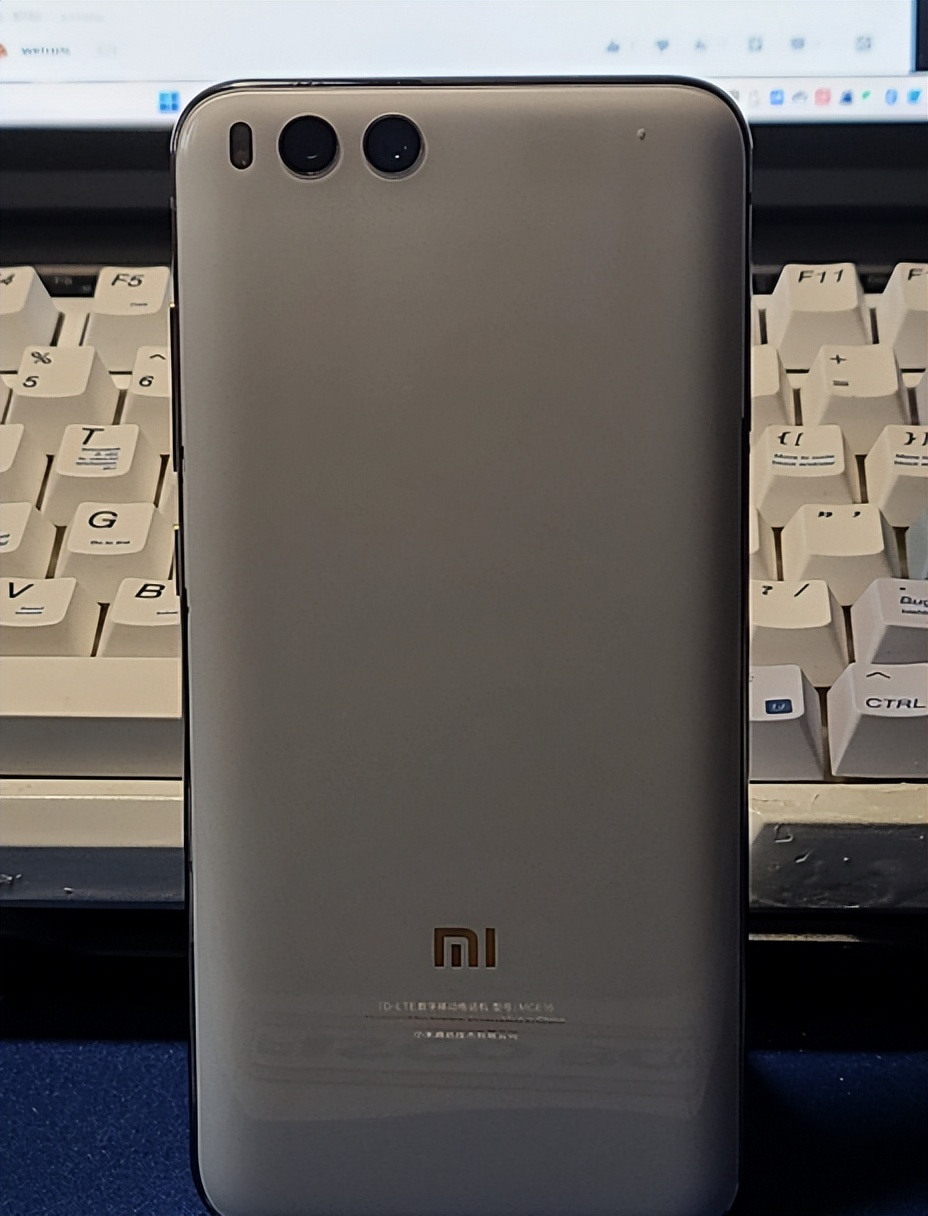 小米钉子户手机有哪几款,小米6一代钉子户神机