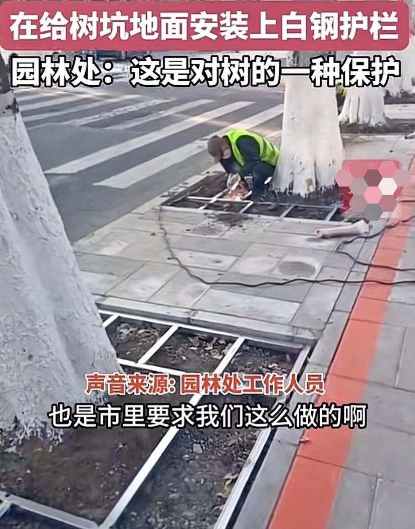 园林工人美化环境,园林工人用辛勤筑造美丽家园