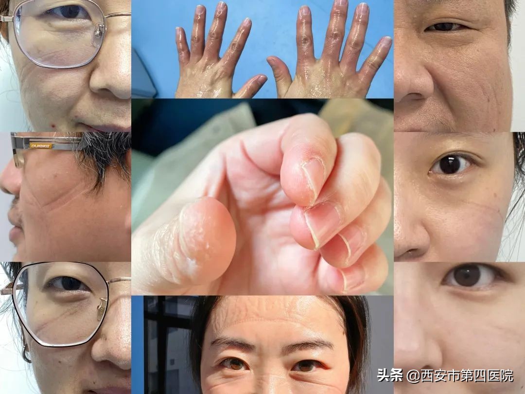 健康中国全民抗疫,秦岭四宝抗疫