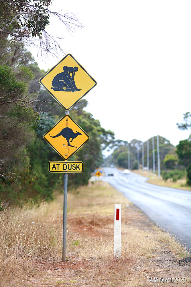 旅游景点的奇葩路牌指示,旅游景点有意思的指示路牌大全