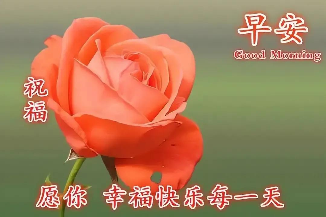 乙木命2023年癸卯年运势怎样,农历2023年癸卯年正月结婚吉日