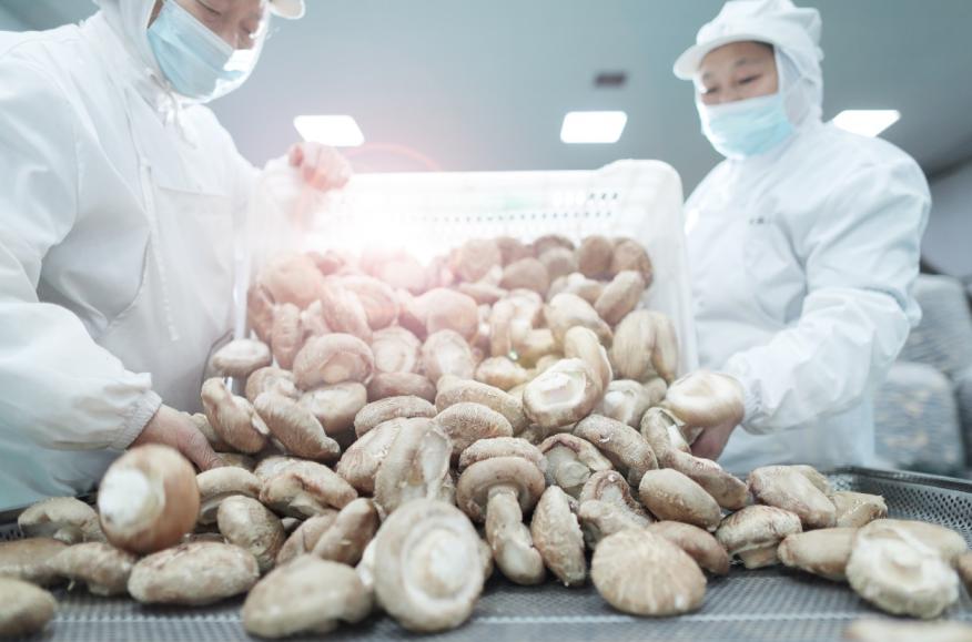 无限极传播健康,无限极的传承