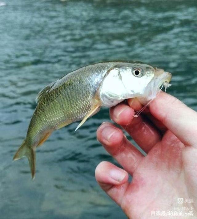安吉大竹海景区自驾攻略,安吉竹海一日游旅游攻略图