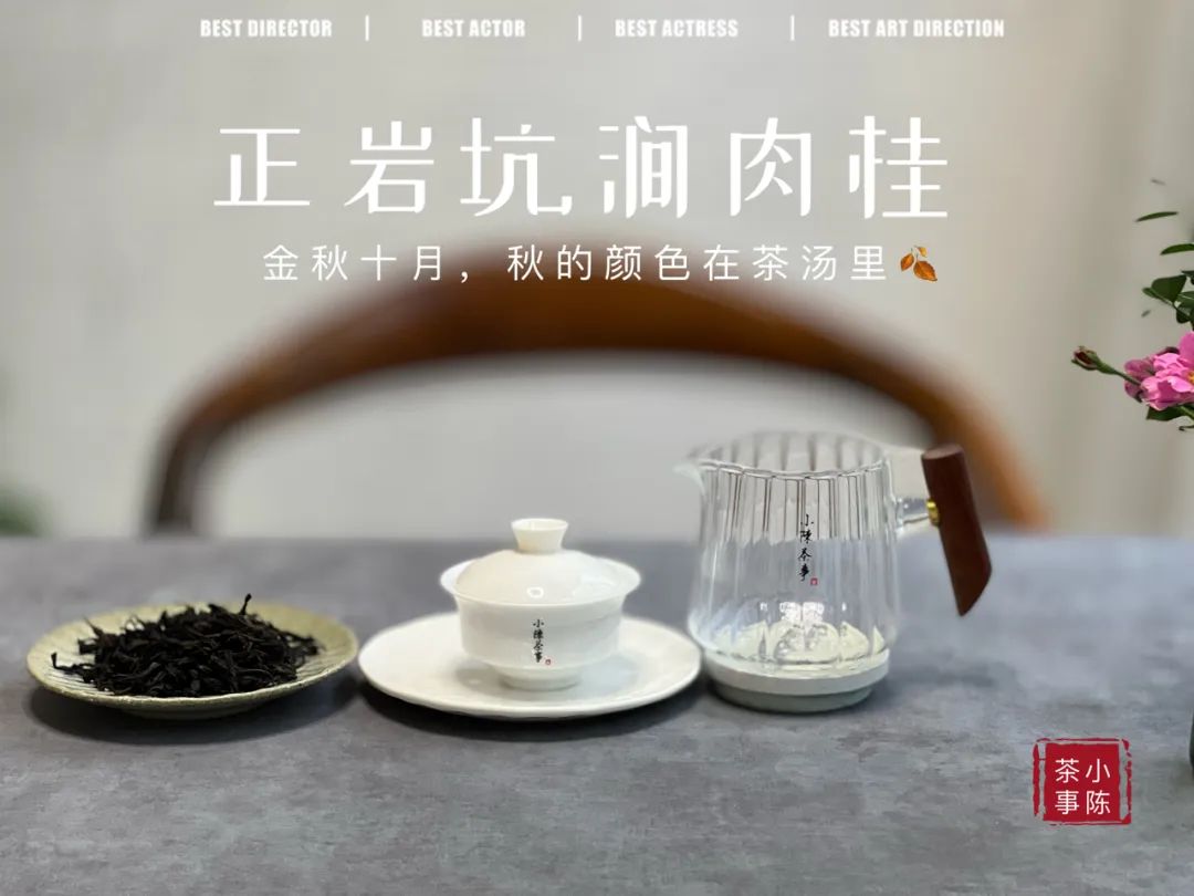 普洱茶假茶的种类及特点解析,红茶绿茶白茶普洱茶哪个口感好