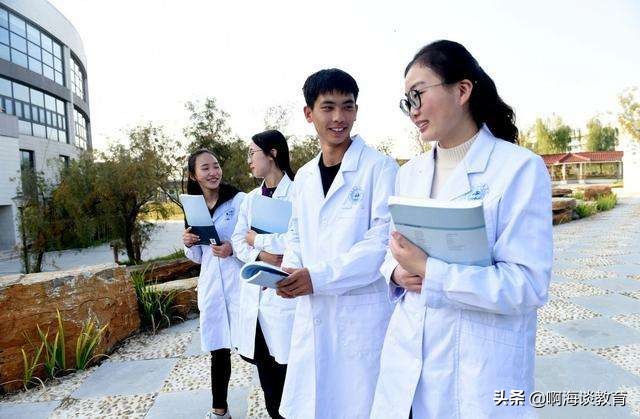 2019大学专业热度排行,未来十年大学专业就业前景排名