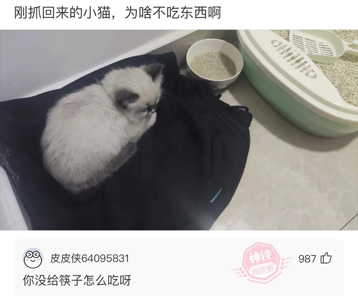 住酒店时显示已经在其他酒店入住,住酒店发现是自己几年前婚房