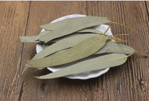 车的空调里面有蟑螂怎么办,车里有蟑螂怎么消灭最彻底的方法