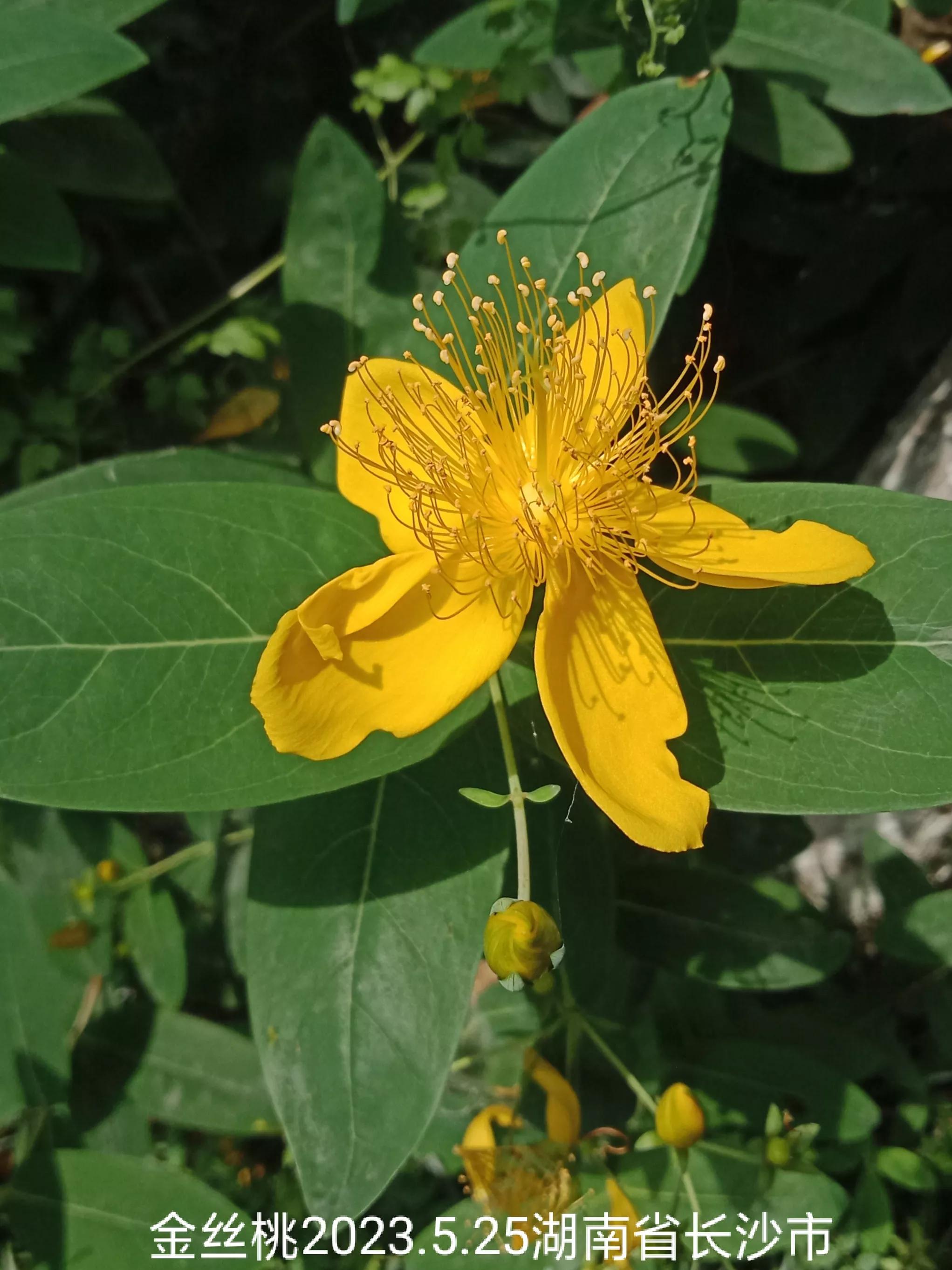 怎么找回没保存丢失的微信群,怎么找回没有保存的微信群