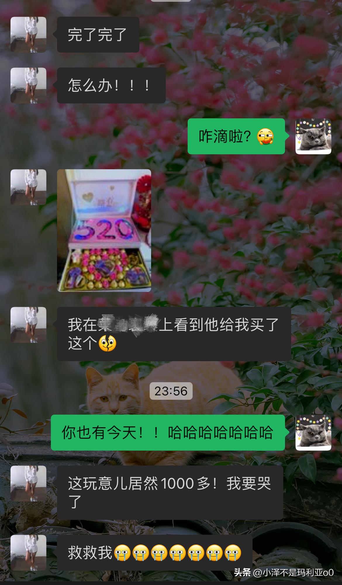 自己舍不得买，但男朋友送会笑醒！520收到拍立得礼盒简直泰裤辣