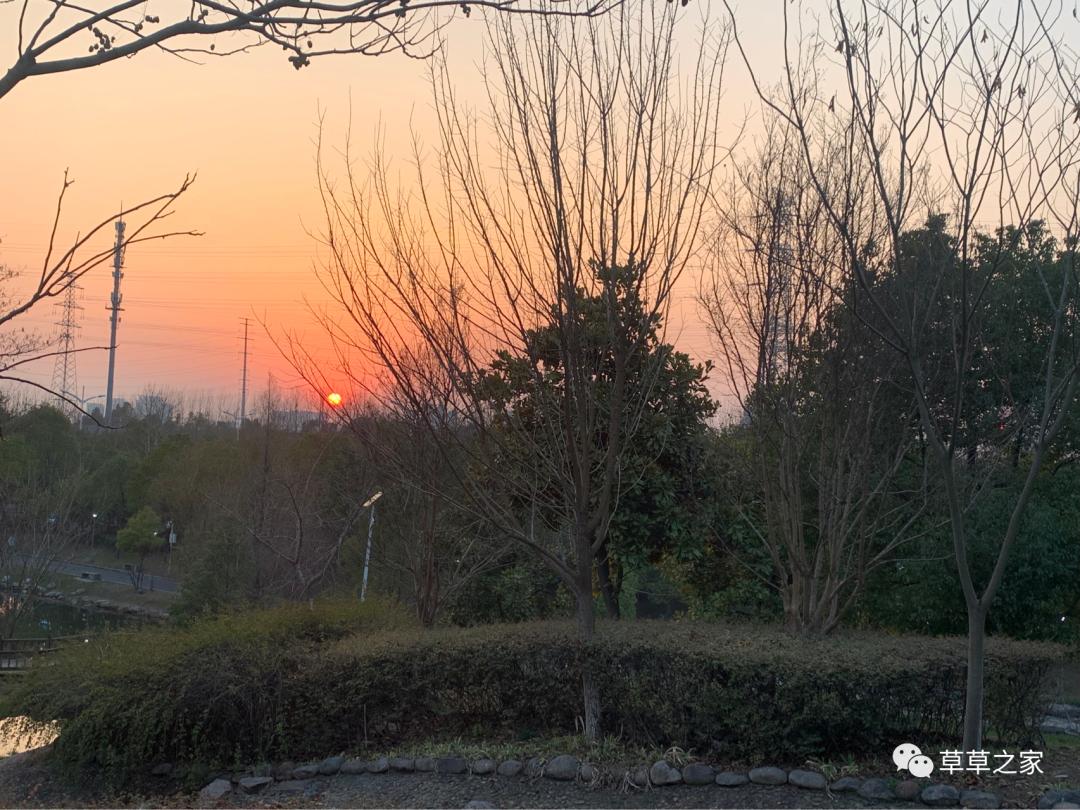 合肥一中有一个后花园，你进去玩过吗？早春里的一中后花园