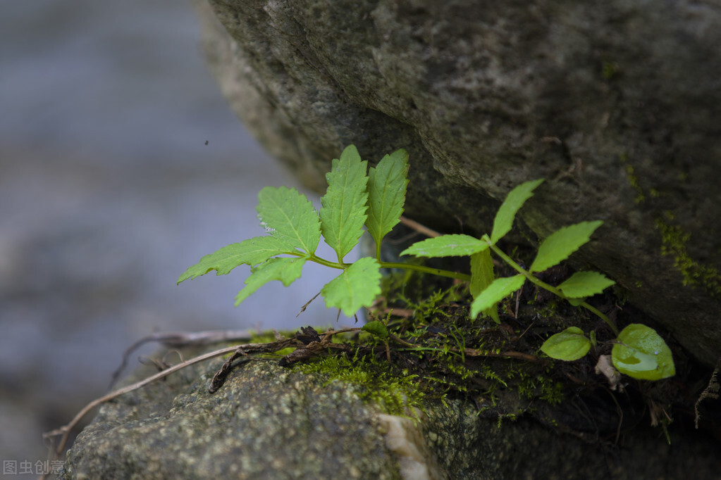 汶川大地震十二年祭完整视频,汶川大地震15年祭图片