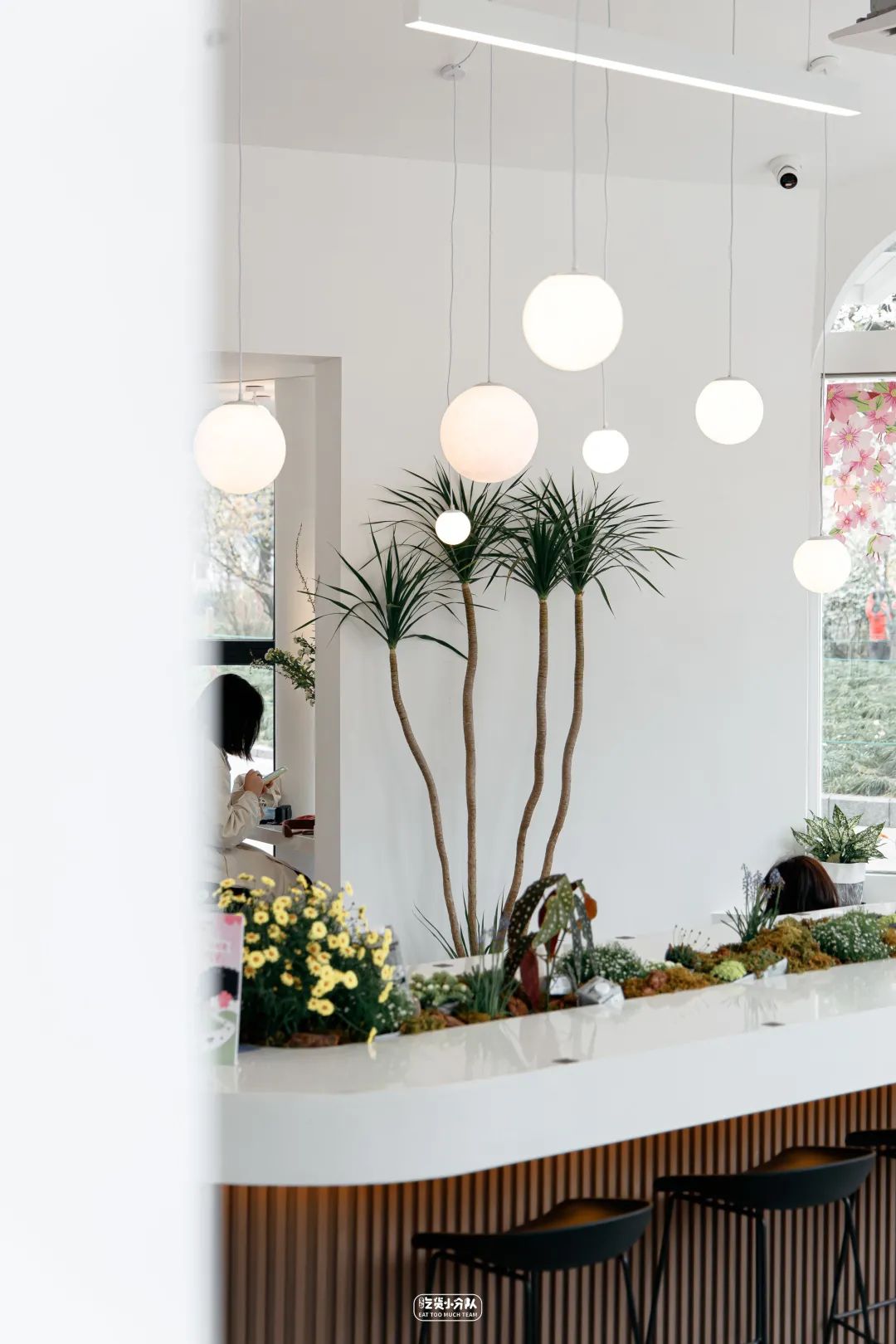 樱花最旺盛的时间,樱花最茂盛的时候是哪个季节