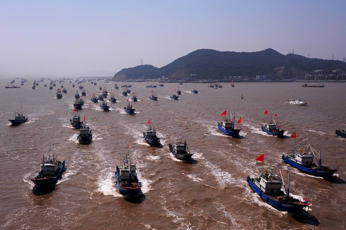 带鱼每年捕捞多少吨,带鱼产量逐年减少它会被吃灭绝吗