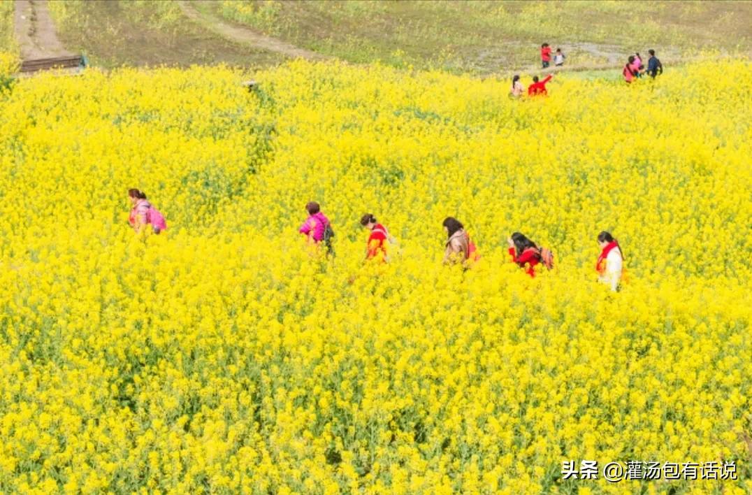 抠门的100种方法,23个抠门小妙招打造低成本生活