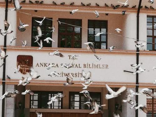 在这个内卷的时代如何脱颖而出,内卷时代这几条法则帮你找到自我