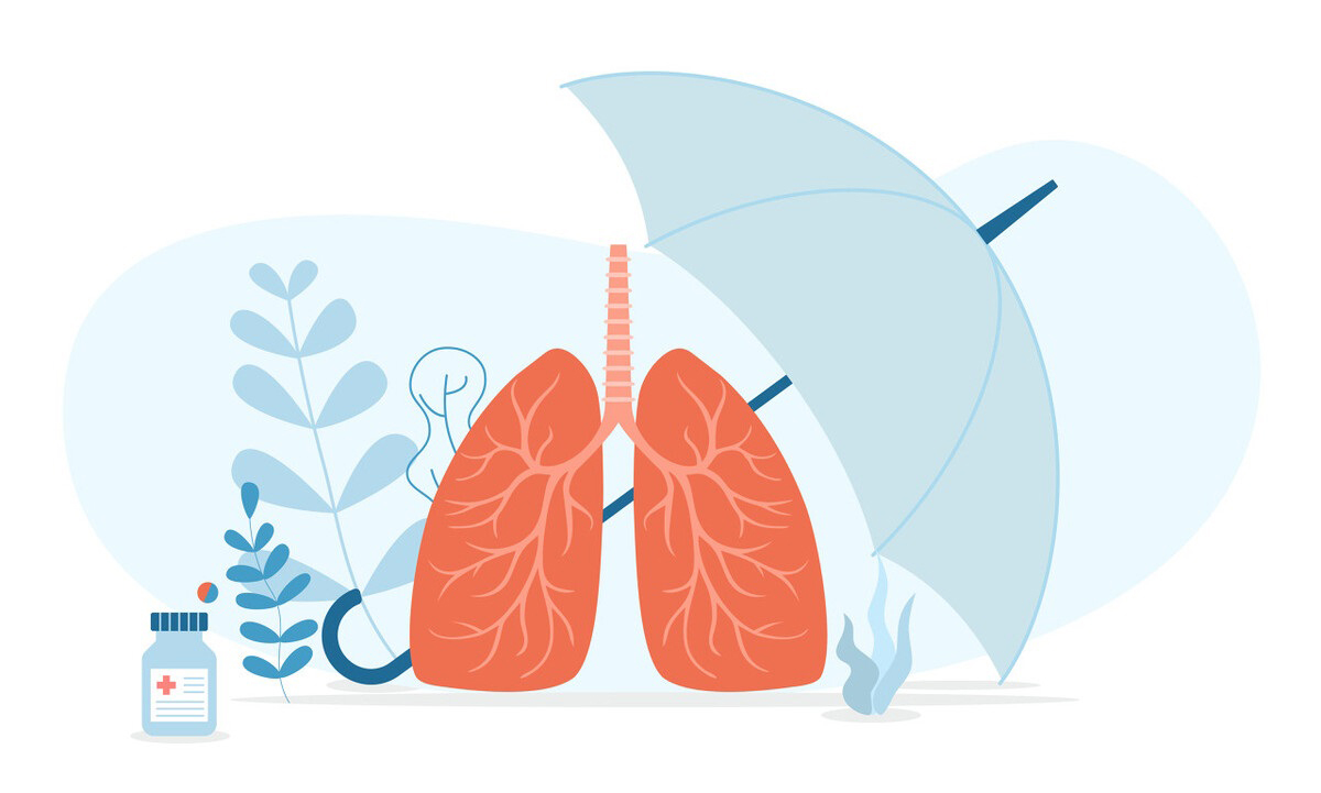 十二种润燥食材冬季养生法宝,冬季滋阴润肺的蔬菜
