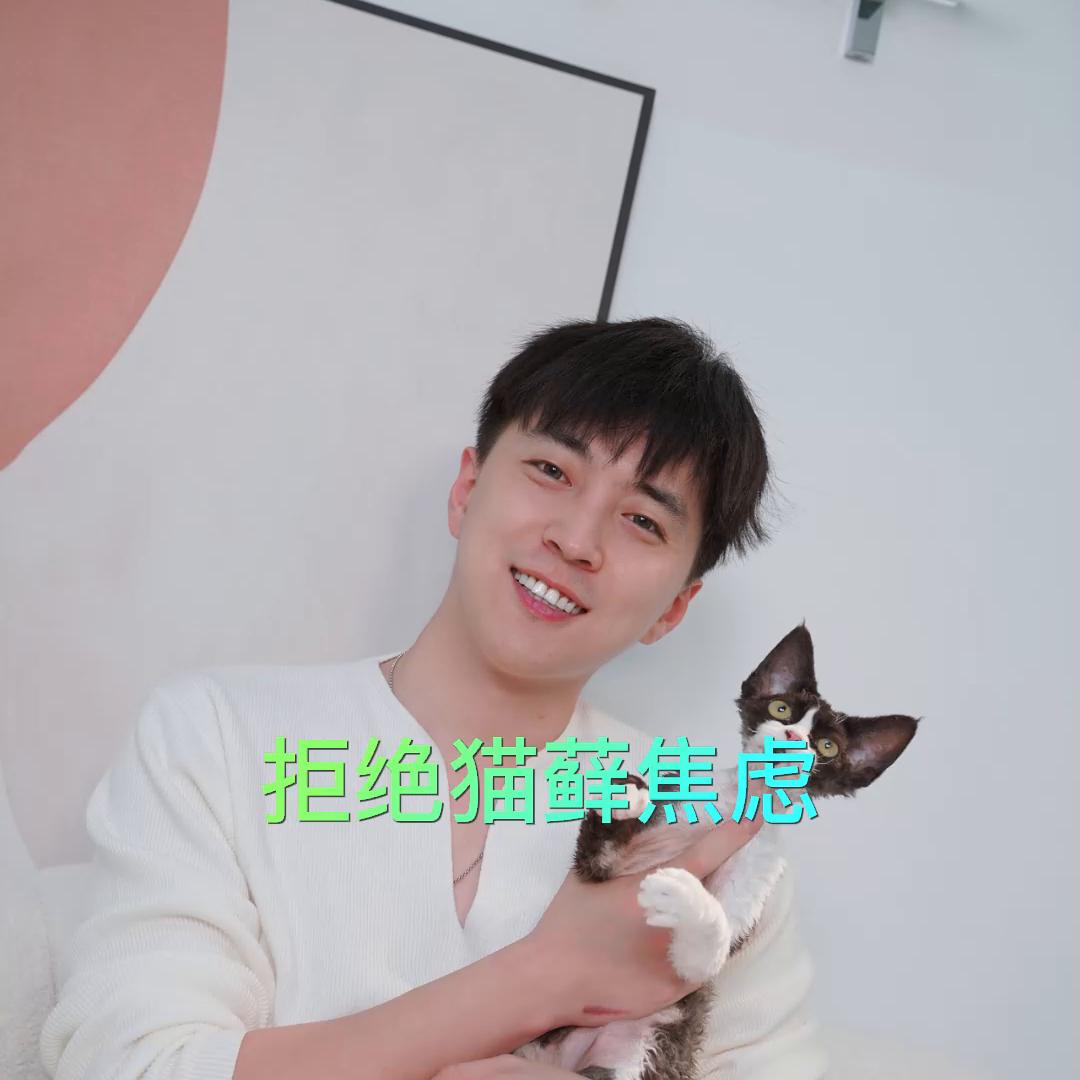 猫藓啊是最基础的猫咪小病,天气变化阴凉潮湿都会导致猫咪...