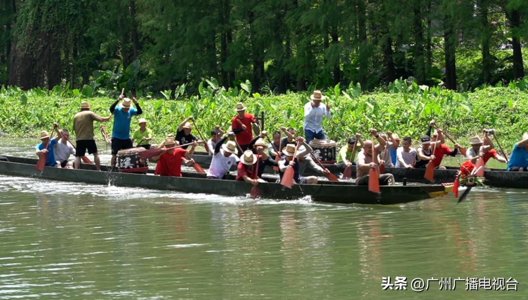 广州多区“睇龙船”超全指南,广东“睇龙船”指南来了