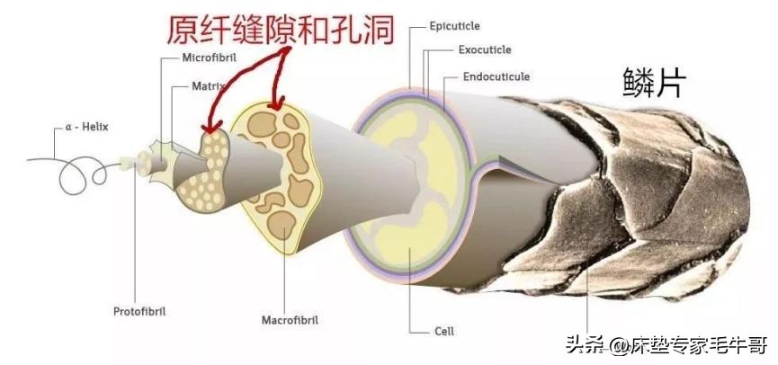 为什么酒店床垫比普通床垫舒服 (星级酒店的床垫和正常床垫的区别)