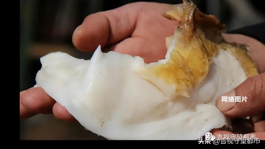 男子捡到太岁天天喝水,记者在河边采访村民捡到太岁