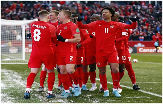 世界杯比利时vs加拿大结果,世界杯赛比利时vs加拿大