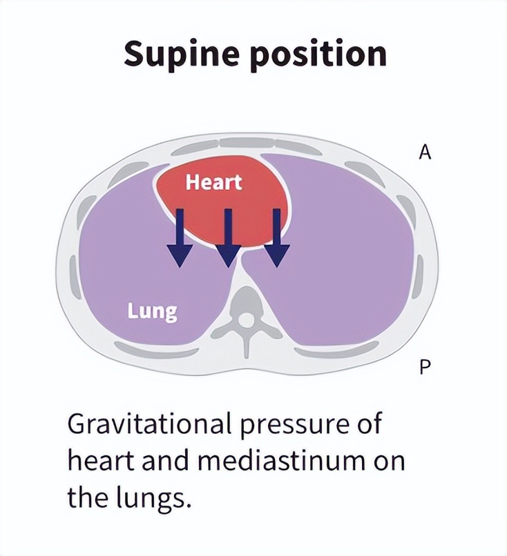 有球必应大号直播,有球必应2021直播视频