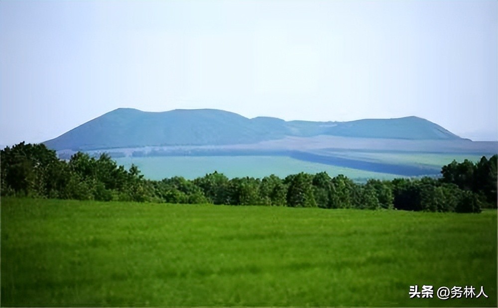 林权证有行政确权功能吗,林权登记不了怎么办