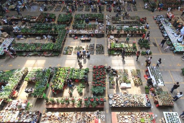 昆明气候四季如春的主要原因,昆明的气候为什么会四季如春呢