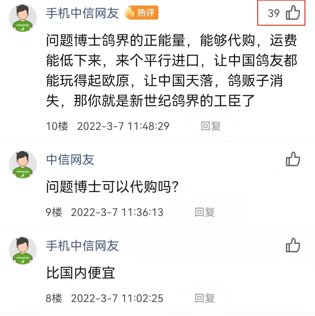 欧洲买只鸽子多少钱,欧洲进口的鸽子