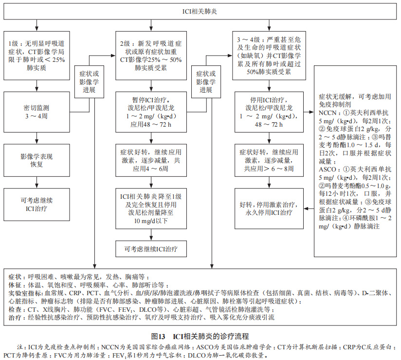 消化系统恶性肿瘤合理用药指南,胃肠道肿瘤免疫治疗前景