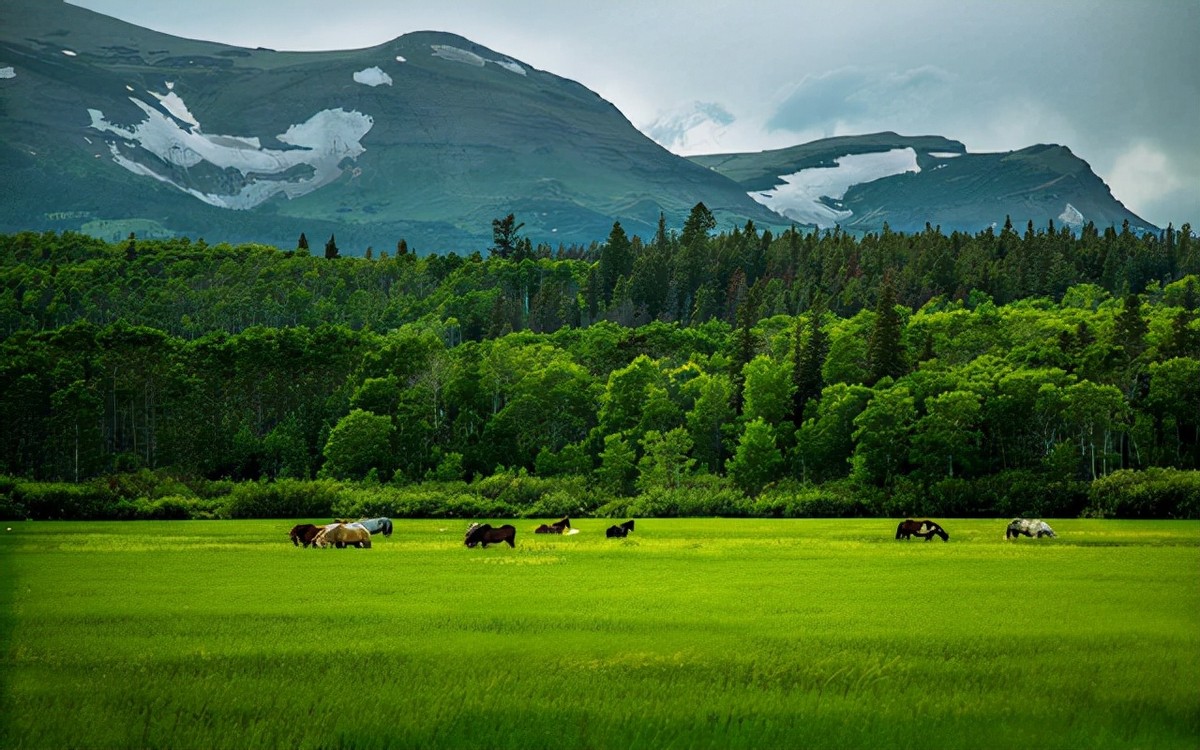 广西养蛇人视频,养蛇人最怕的毒蛇