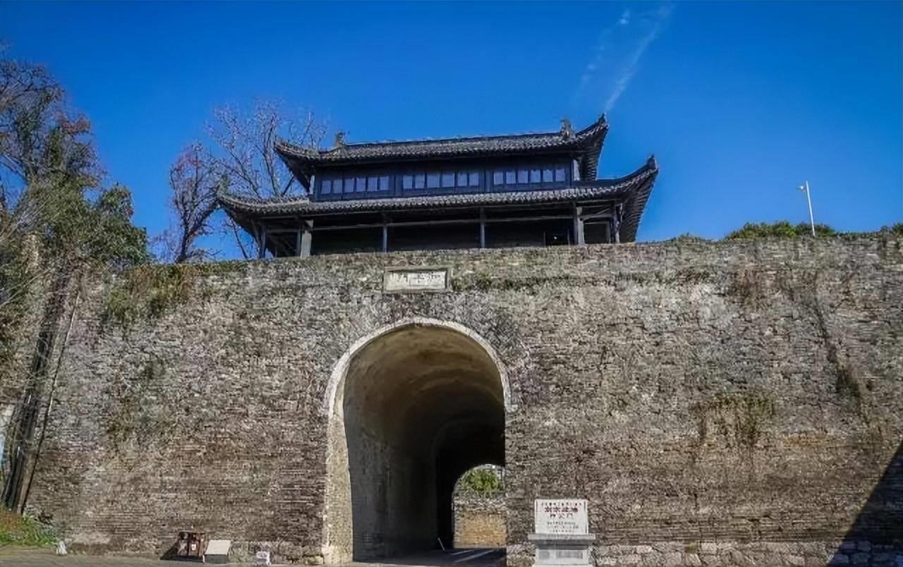 明孝陵水杉网红打卡,南京明城墙惊艳