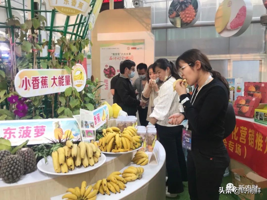 好产品卖到哪才有高溢价？广东种博会“粤字号”六大水果又火了