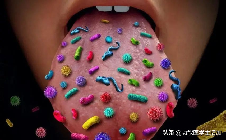口腔菌群紊乱对身体的危害,怎么培养健康的口腔菌群