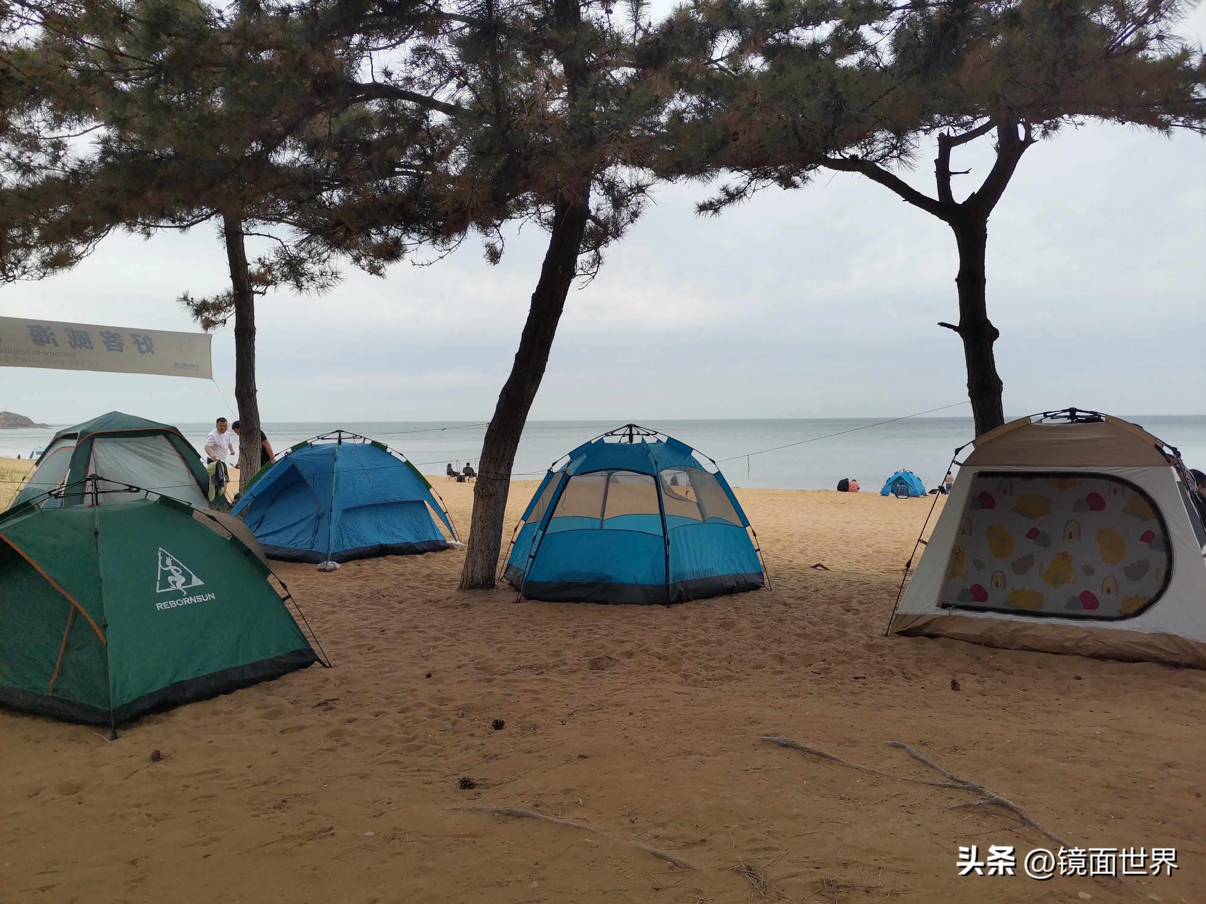 威海荧光海是真的吗,威海有颜色不一样的海吗