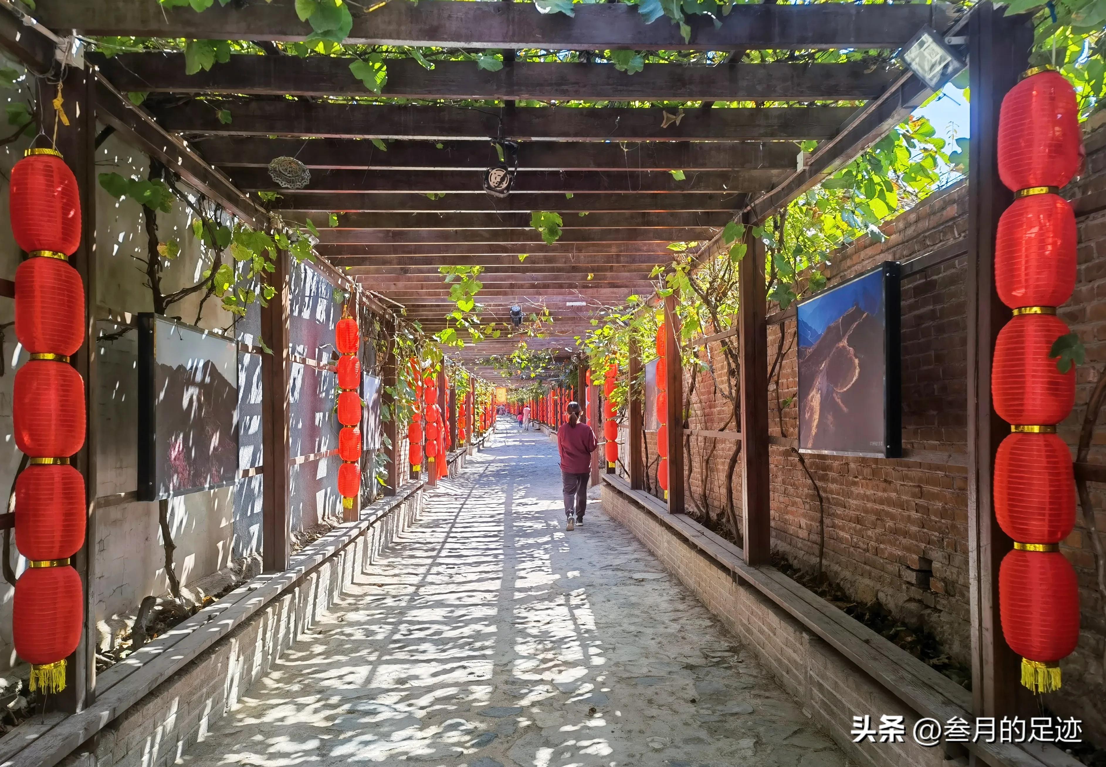 延庆旅游攻略非自驾游路线,北京京郊延庆旅游攻略