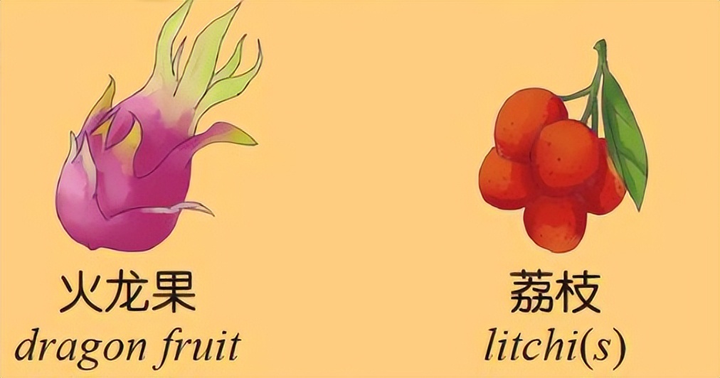 小学英语单词打卡复习,小学英语单词打卡跟读