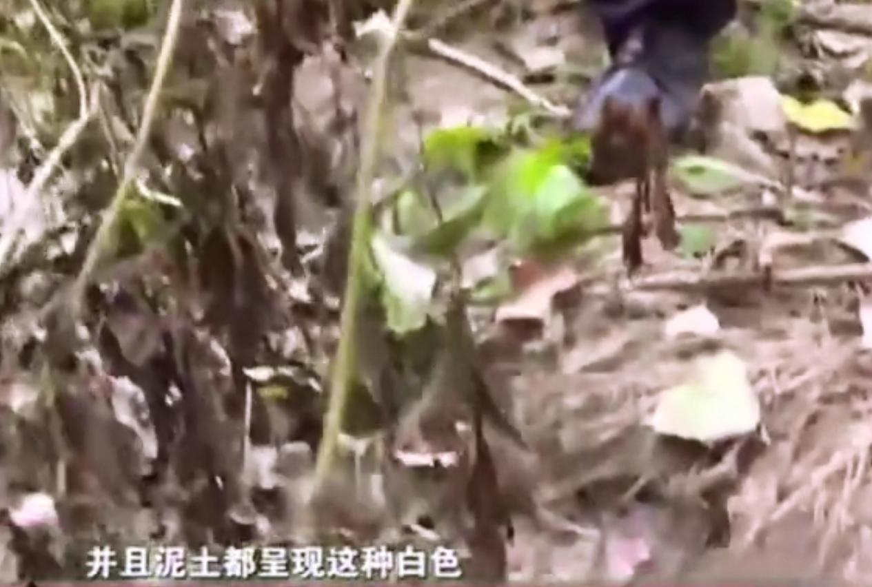 2018年湖北废弃养鸡场泥土变白,湖北养鸡场附近土呈白色