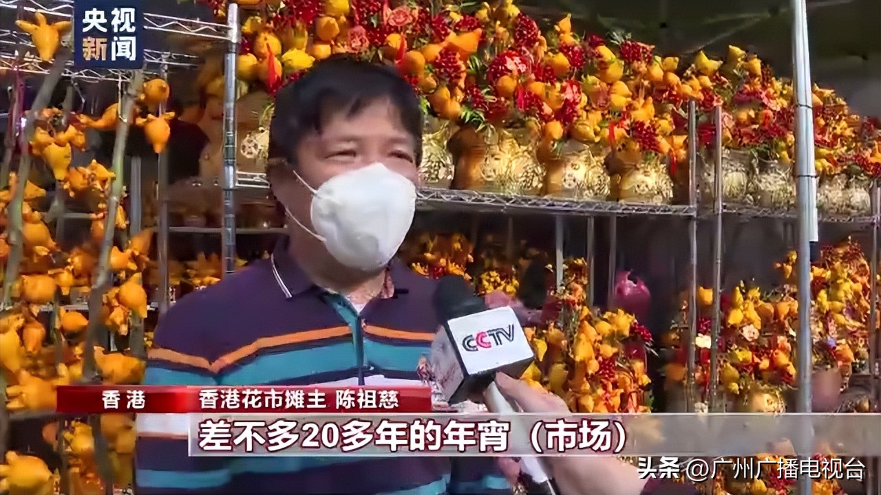 逛花市买年花香港市民寄托美好祝愿