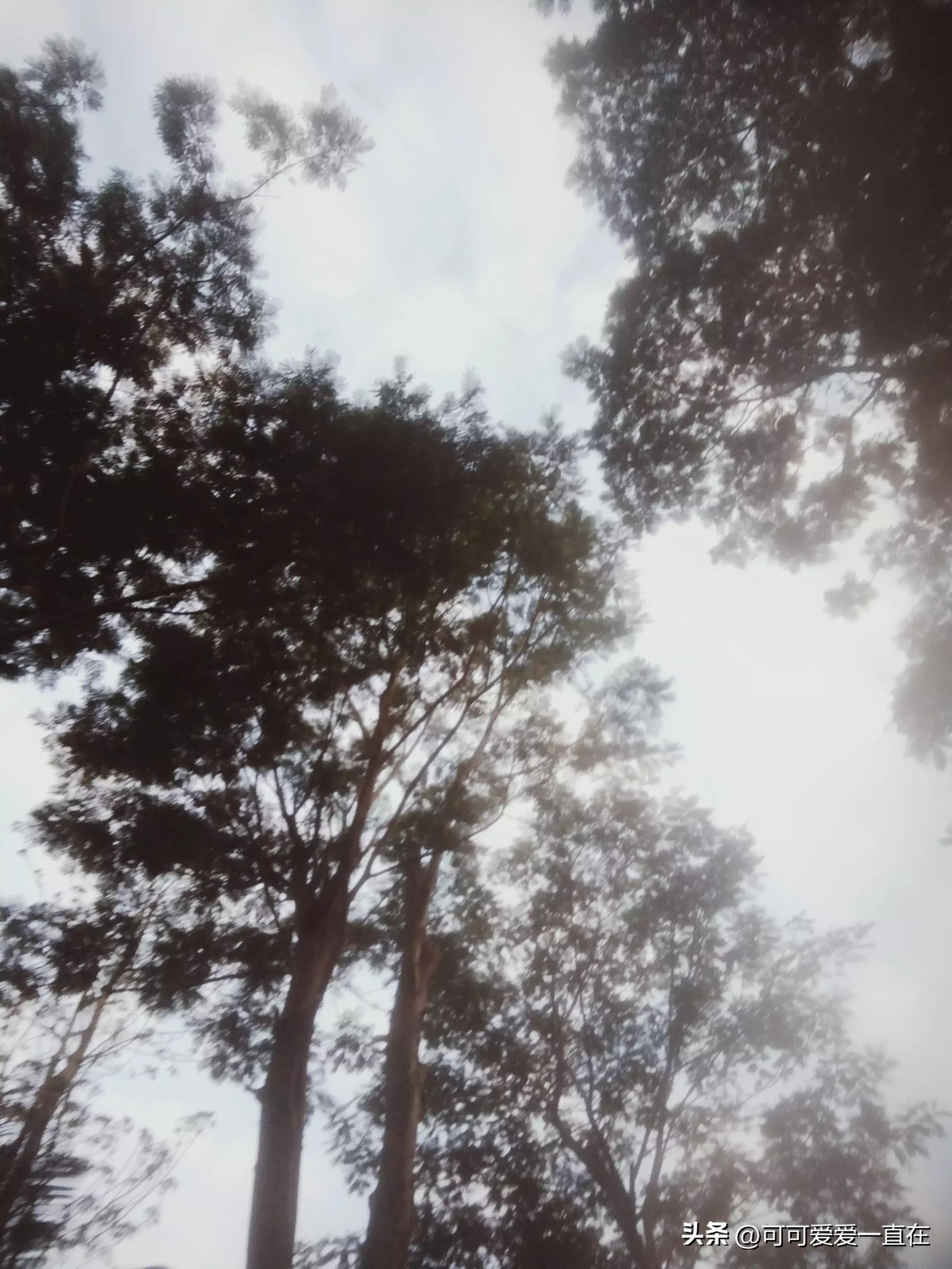 核酸收费,核酸收费多少钱一次