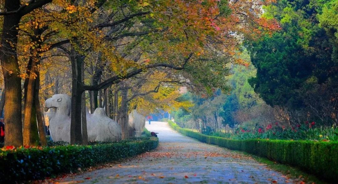 小白怎么写好商业计划书,商业计划书编写