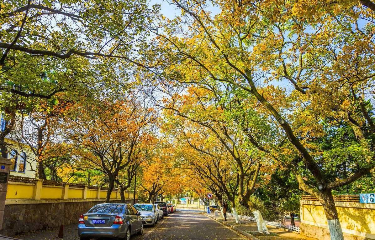青岛十大热门景点,青岛市内旅游十大必去景点